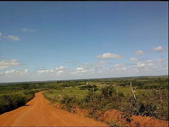 ITAMIRA-BA-ESTRADA DE TERRA E VISTA DA REGIO-FOTO:OLHOVIVOAPORA. - ITAMIRA - BA