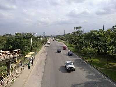 AVENIDA BRASIL-FOTO:RCANDRE  - SANTA CRUZ - RJ