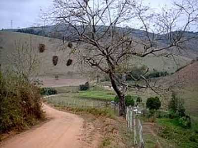 ESTRADA PARA A LAGOA DO DAGOMIR-FOTO:JOO B.C.T. LIMA  - SANTA RITA DA FLORESTA - RJ