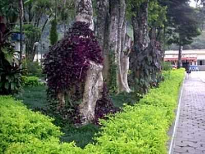 PRAA-FOTO:JOO B.C.T. LIMA  - SANTA RITA DA FLORESTA - RJ