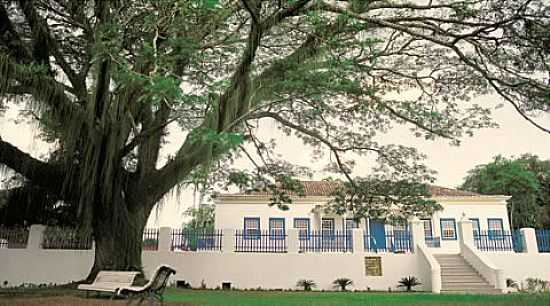 FAZENDA DA PEDRA - SO FIDLIS - RJ