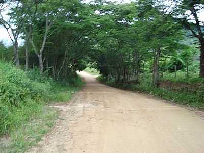 TRECHO DA ESTRADA UBA-MIRACEMA POR CELOMOZER - SO JOS DE UB - RJ