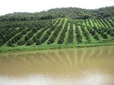 AUDE EM PEDRA BRANCA - SO JOS DO VALE DO RIO PRETO - RJ