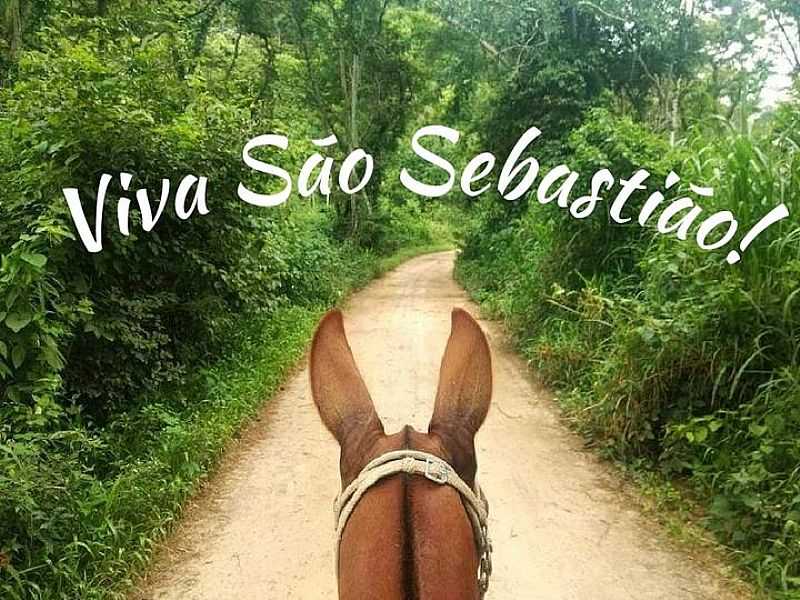 IMAGENS DO DISTRITO DE SO SEBASTIO DO PARABA, MUNICPIO DE CANTAGALO/RJ - SO SEBASTIO DO PARABA - RJ