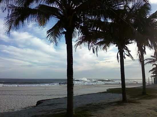 COQUEIROS NA ORLA DE SAQUAREMA-RJ-FOTO:JOSE ADAL PEREIRA DE - SAQUAREMA - RJ