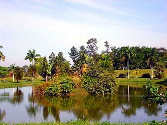 JARDIM BOTNICO NA UNIVERSIDADE FEDERAL RURAL DO RIO DE JANEIRO EM SEROPDICA-RJ-FOTO:RCANDRE - SEROPDICA - RJ