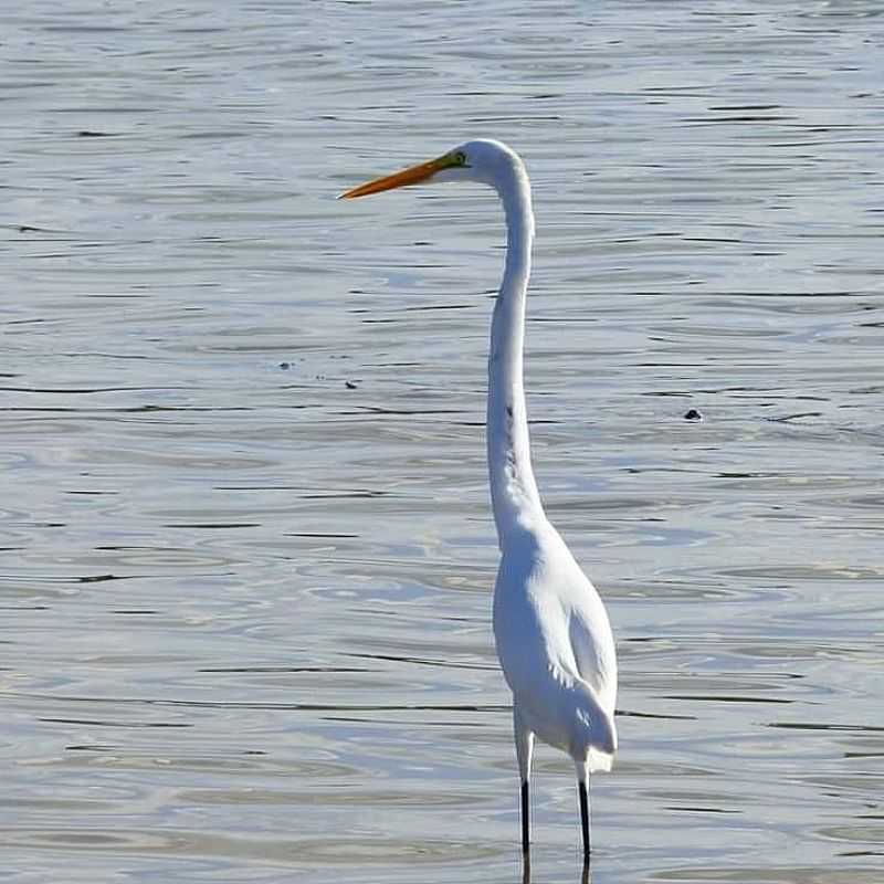 IMAGENS DA LOCALIDADE DE TAMOIOS-2DISTRITO DE CABO FRIO - RJ - TAMOIOS - RJ