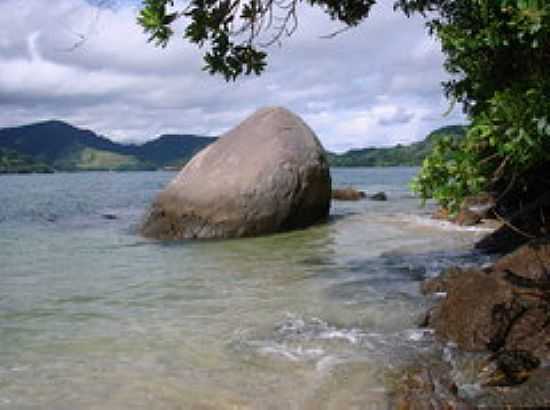 ILHA DO PELADO EM TARITUBA-RJ-FOTO:AQUARIA - TARITUBA - RJ