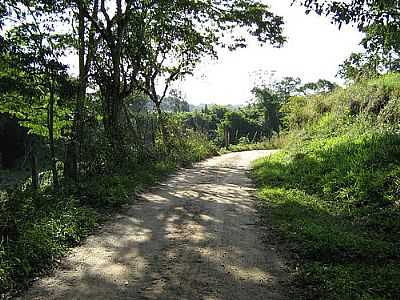  CAMINHO DA CASCATA-FOTO:EDNA BARROS  - VARGEM ALEGRE - RJ