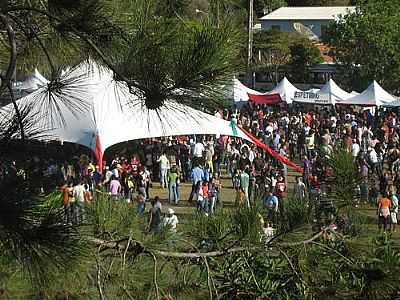 FESTIVAL DO VINHO - VARRE-SAI - RJ