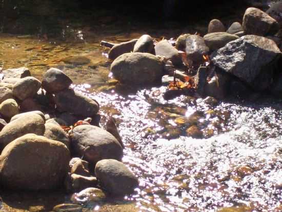 CACHOEIRA DE XERM, POR SUELI CORDEIRO DE OLIVEIRA - XERM - RJ