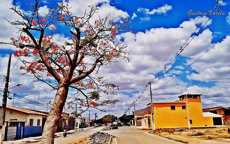 IMAGENS DA CIDADE DE ASS - RN - ASS - RN