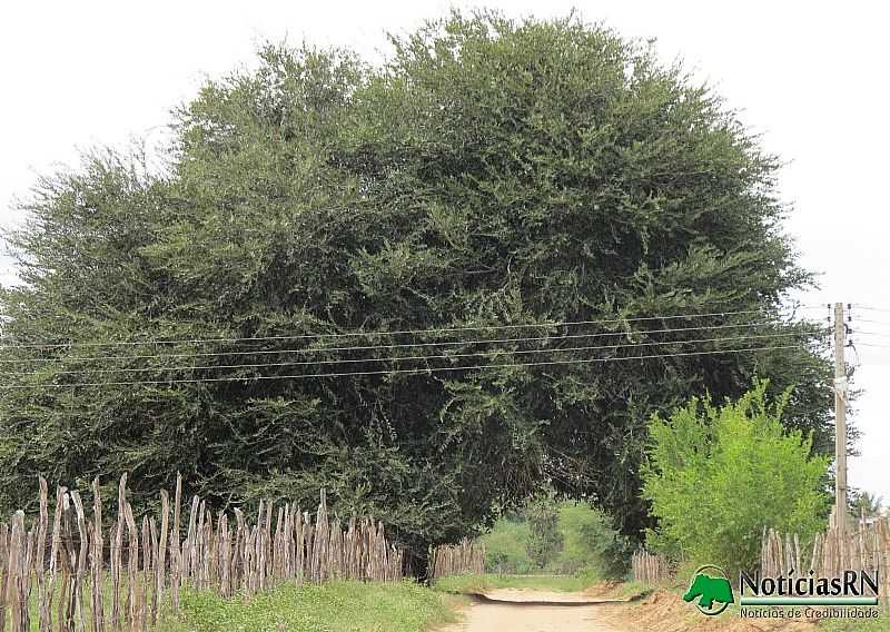 IMAGENS DA CIDADE DE  AFONSO BEZERRA - RN - AFONSO BEZERRA - RN