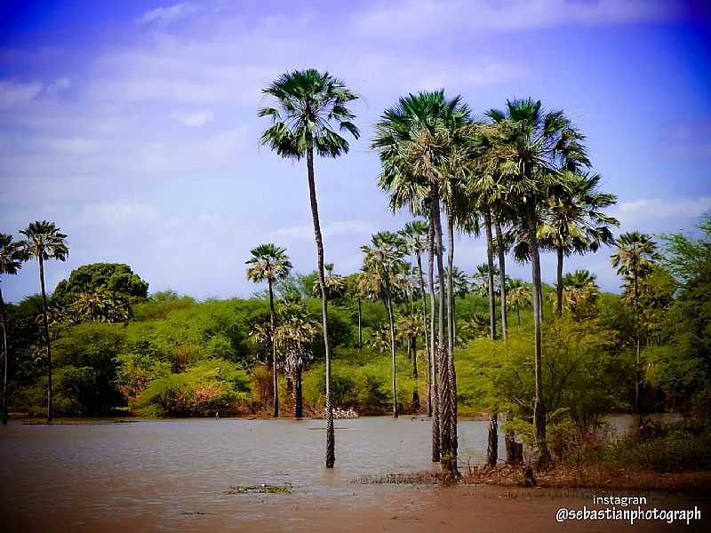 IMAGENS DA CIDADE DE  AFONSO BEZERRA - RN - AFONSO BEZERRA - RN