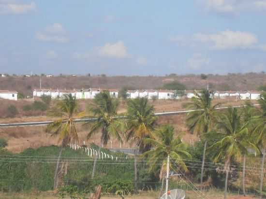 CAIARA E SEUS COQUEIROS, POR ALFEU DAGATA JUNIOR - CAIARA DO RIO DO VENTO - RN