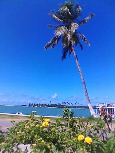 BARRA DO CUNHA, POR ZILSON JOS SOARES DE MARIA - CANGUARETAMA - RN