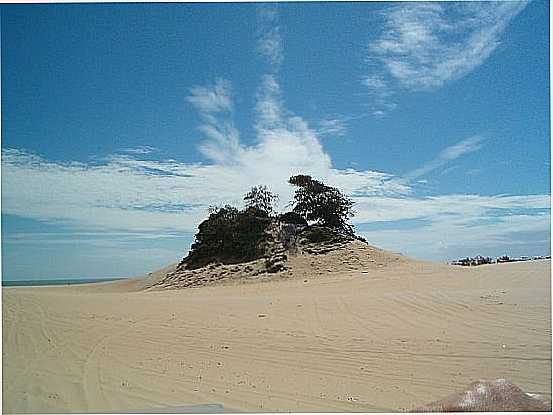 DUNA E VEGETAO EM EXTREMOZ-RN-FOTO:DANIEL GONALVES - EXTREMOZ - RN