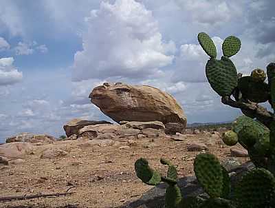SAPO DE PEDRA - FERNANDO PEDROZA - FERNANDO PEDROZA - RN