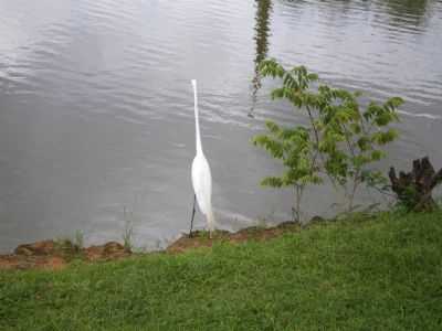 FOTOS DE UM LAGO, POR JUVENAL DA SILVA BARBOSA - FLORNIA - RN