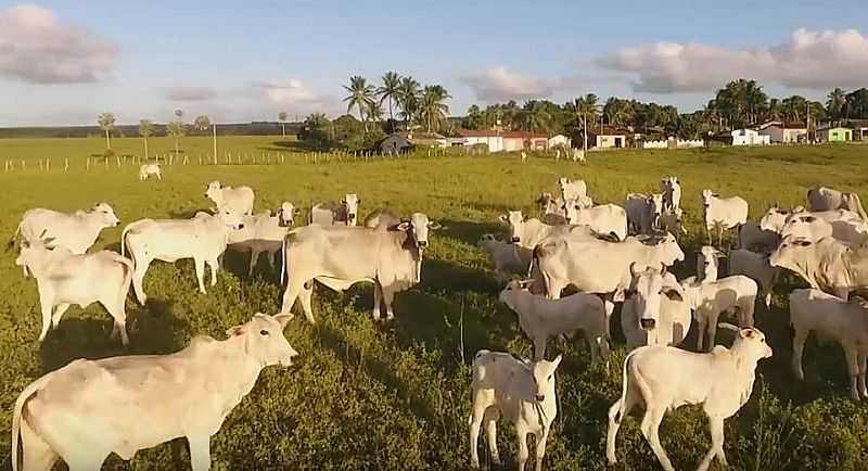 REA RURAL DE GOIANINHA - RN - GOIANINHA - RN