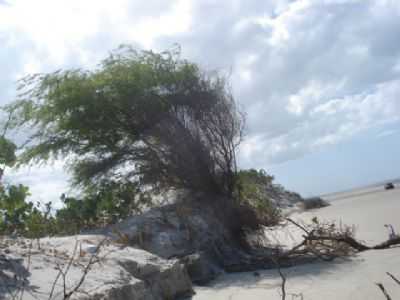 PRAIA DE ALAGAMAR GROSSOS-RN, POR FRANSALES - GROSSOS - RN