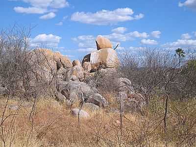 CAATINGA EM ITA RN POR AGALHES JAIME - ITA - RN