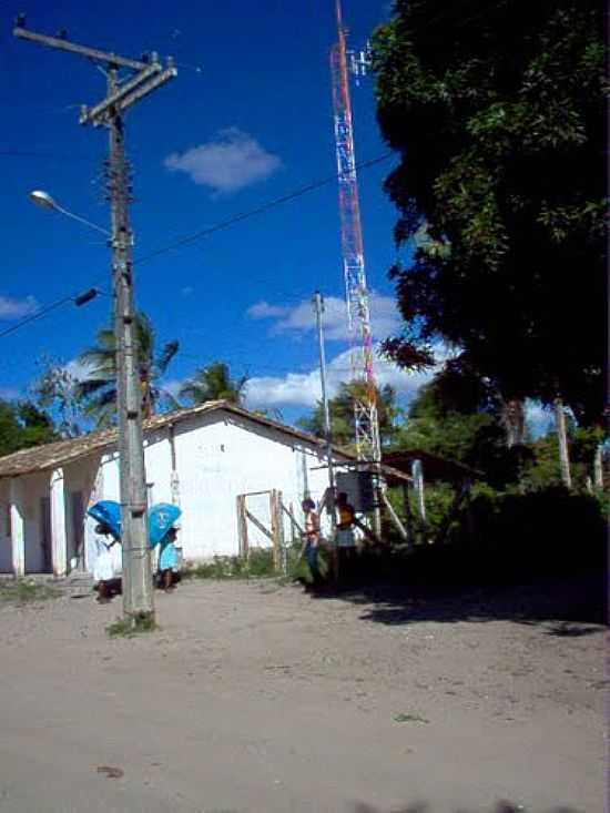 PAU FERRO ITAPORA-FOTO:RADIO AMEM - ITAPORA - BA