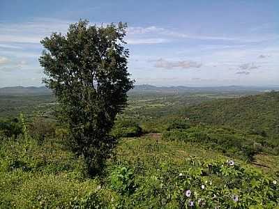 SERRA-FOTO:MAGALHES JAIME  - LUS GOMES - RN