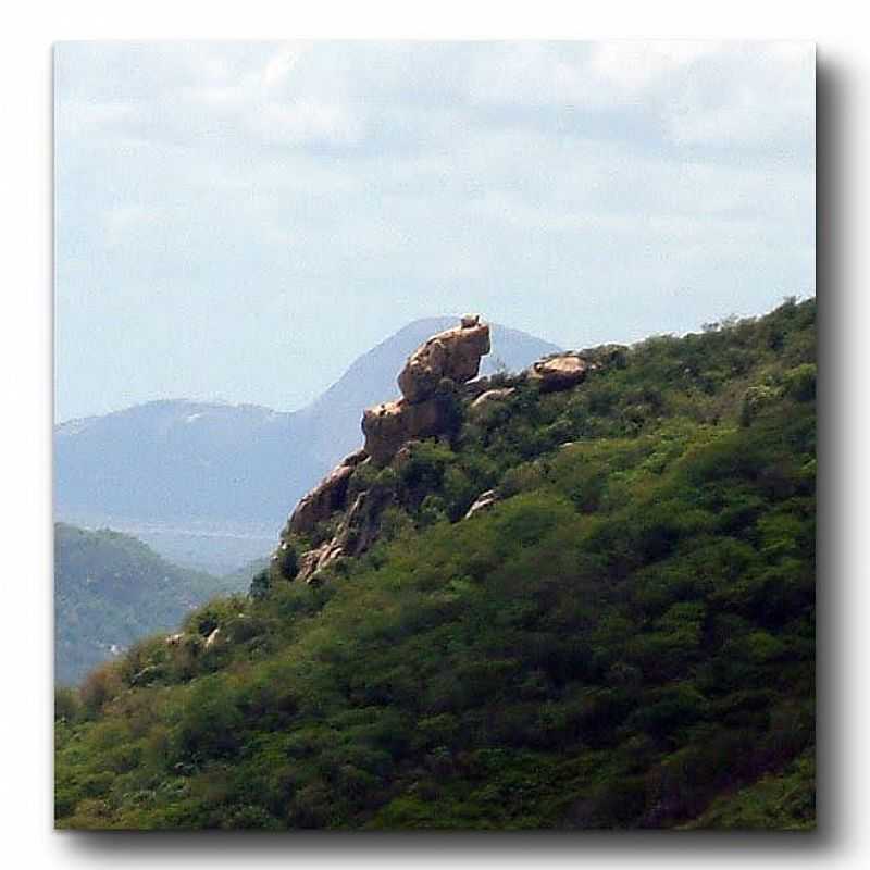 MARTINS-RN-PEDRA DO SAPO - MARTINS - RN