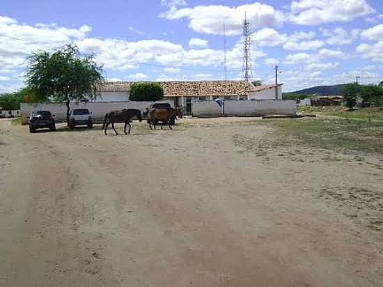 REA RURAL-FOTO:NILSON FERREIRA ANDR - ITAQUARA - BA