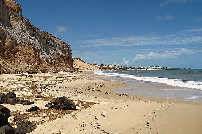 NSIA FLORESTA-RN-FALSIAS E PRAIA EM BARRA DE TABATINGA-FOTO:ELAINE KAWABE - NSIA FLORESTA - RN