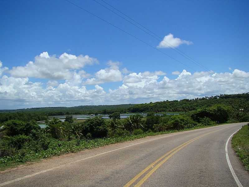 NSIA FLORESTA-RN-VIVEIROS DE CAMARO VISTO DA RODOVIA-FOTO:MARCUS SAMPAIO - NSIA FLORESTA - RN