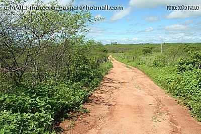 ESTRADA NO STIO BREJO-FOTO:METEOROGASPAR  - OLHO-D'GUA DO BORGES - RN