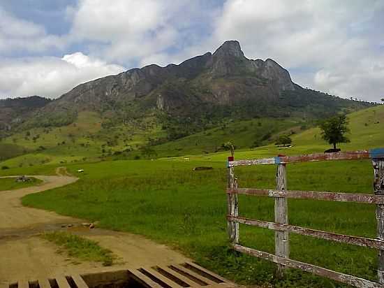 ITARANTIM-BA-MATA BURRO NA ESTRADA DA SERRA-FOTO:XAVERLOO - ITARANTIM - BA