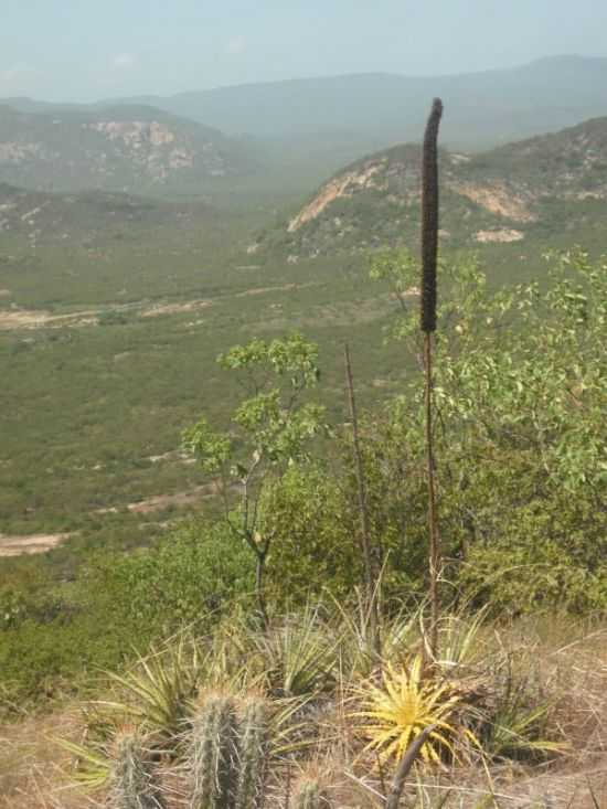 VISTA DO ALTO DA SERRA , POR RAFAELA FELIX DE MEDEIROS - PATU - RN