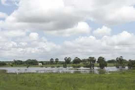 PAISAGEM-FOTO:SERTAODOAPODI - RODOLFO FERNANDES - RN