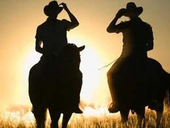 CAVALGADA-FOTO:VNTONLINE - SANTA F - RN