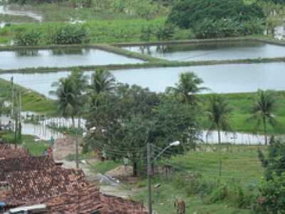 RIO POTENGI-FOTO:EDIVANILSON  - SANTO ANTNIO DO POTENGI - RN