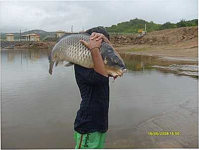 CARPA AUDE BOA F , POR MARINALDO  ALVES  DE  ARAUJO - SO BENTO DO TRAIRI - RN