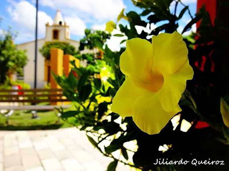 SERRINHA DOS PINTOS - FOTO JULIANO QUEIROZ - SERRINHA DOS PINTOS - RN