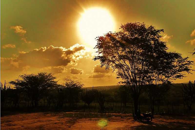 TANGAR-RN-PR DO SOL-FOTO:MANOEL CCERO FIGUEIREDO - TANGAR - RN