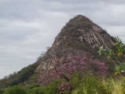 SERRA DO PICO.1, POR VINICIUS - TENENTE ANANIAS - RN