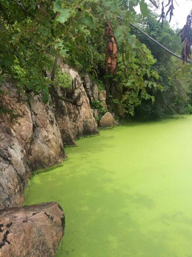 PAREDES NO LAGO DA CACHOEIRA DO MOROR, POR ANAILZA FEITOZA DOS SANTOS - TENENTE ANANIAS - RN