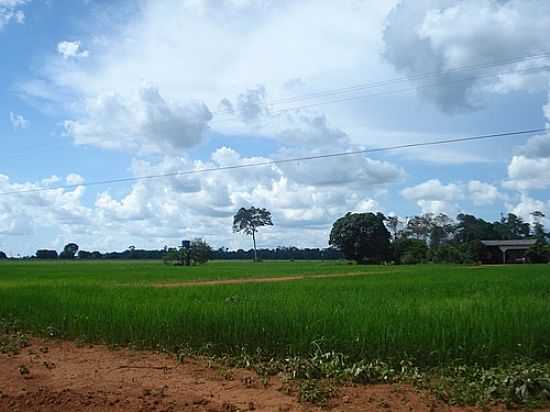 CEREJEIRAS-FOTO:VALDECIRBAIRROS  - CEREJEIRAS - RO