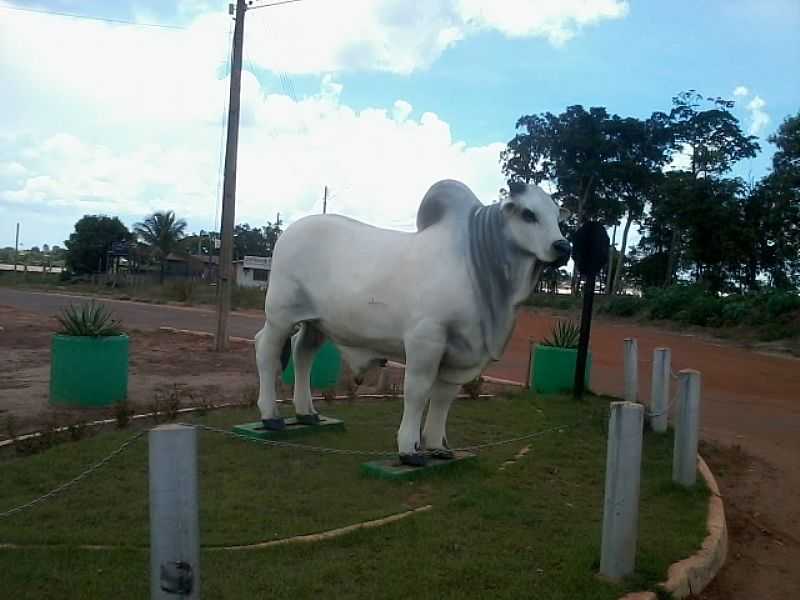 CHUPINGUAIA-RO-MONUMENTO NOTREVO DE ACESSO-FOTO:AMARILDO VARELA - CHUPINGUAIA - RO