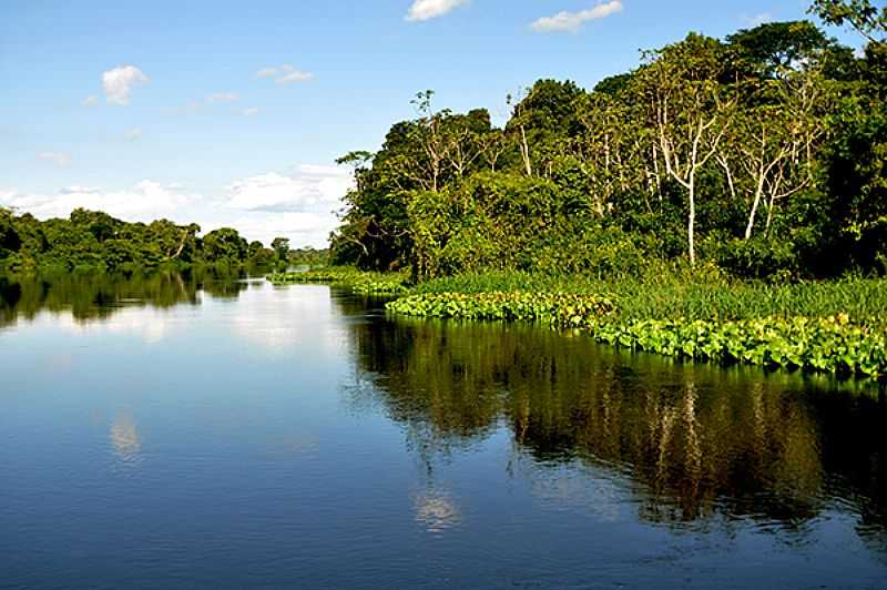 PARQUE ESTADUAL DE CORUMBIARA - RO - CORUMBIARA - RO
