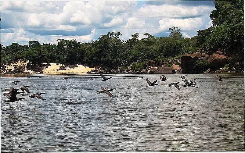 MACHADINHO D OESTE - RO - RIO MACHADO - MACHADINHO D'OESTE - RO