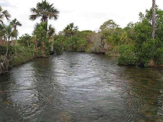 JABORANDI-BA-RIO FORMOSO-FOTO:JUNIORDIAS12 - JABORANDI - BA