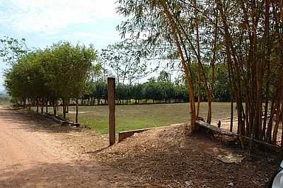 CAMPO DE FUTEBOL-FOTO:GEOROLIM  - NOVO HORIZONTE DO OESTE - RO