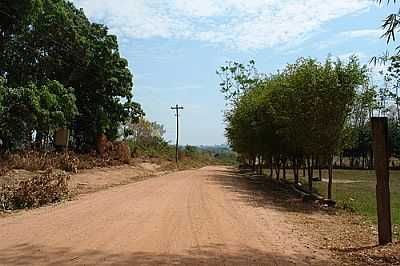 ESTRADA-FOTO:GEOROLIM  - NOVO HORIZONTE DO OESTE - RO